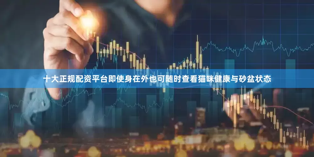 十大正规配资平台即使身在外也可随时查看猫咪健康与砂盆状态