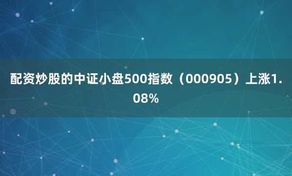 配资炒股的中证小盘500指数（000905）上涨1.08%